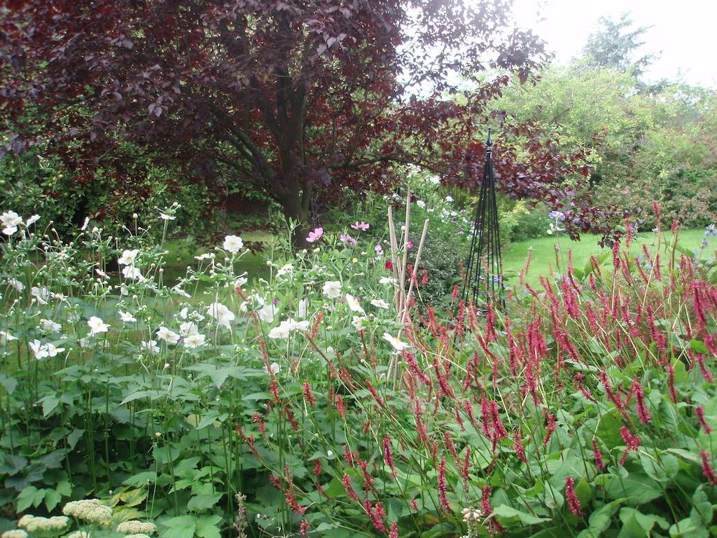 White House Farm Bed & Breakfast Hindolveston Eksteriør bilde