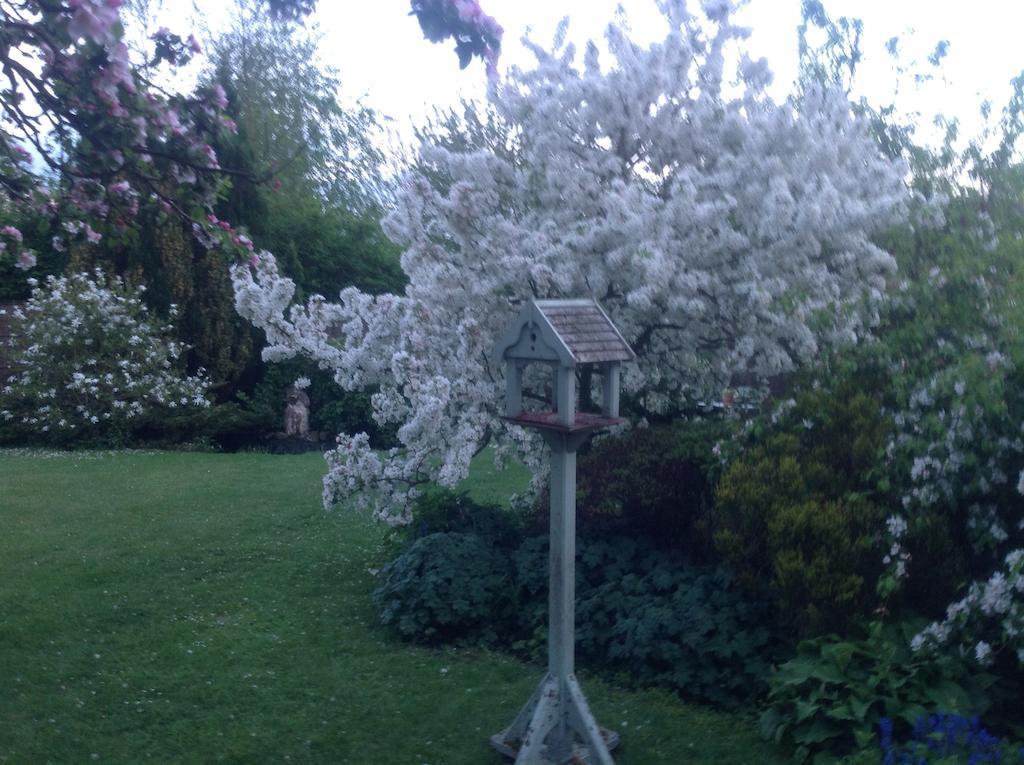 White House Farm Bed & Breakfast Hindolveston Eksteriør bilde
